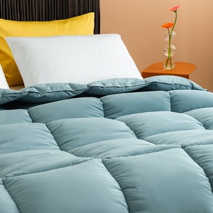 Piumino in <span class=keywords><strong>Velluto</strong></span> con Inserto in Piuma, Misura <span class=keywords><strong>Matrimoniale</strong></span>, <span class=keywords><strong>Trapunta</strong></span> Spessa per Primavera e Autunno, per Hotel e Uso Domestico - Product Image 4