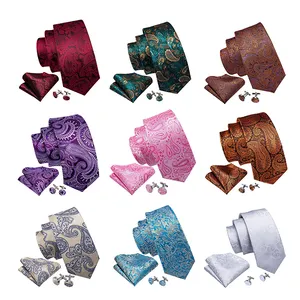Cravate Paisley en soie Polyester pour hommes, étiquette personnalisée OEM, boîte-cadeau, cravate bon marché,