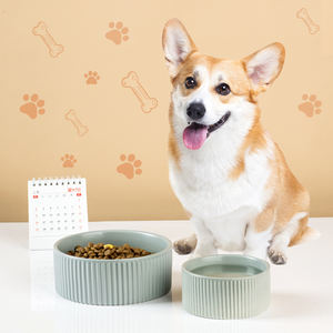 Caixa de cerâmica para animais de estimação, conjunto de tigelas de cerâmica para cachorros e gatos, com listras nórdicas - Product Image 1