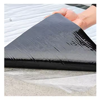 Membrane d'étanchéité auto-adhésive en bitume modifié SBS Ice Water Shield, écologique et moderne, pour la protection des toitures et des couches de protection des roches