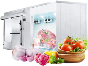 Cámara de Congelación Personalizada Copeland Emerson para Frutas Frescas: Fresas, Melocotones, Lichis, Mangos, Plátanos - Product Image 3