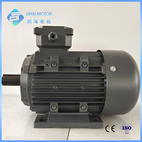 Moteur triphasé 5,5 CV 4 kW 4 pôles IEC, conception NEMA B, usine de moteurs locale chinoise, prix bas, haute qualité