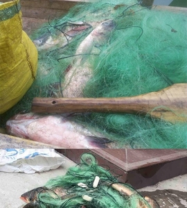 بيع بالجملة عالية الطاقة <span class=keywords><strong>3</strong></span> طبقات غرق شبكة صيد طول m قلادة الرصاص غرق الوزن - Product Image 2