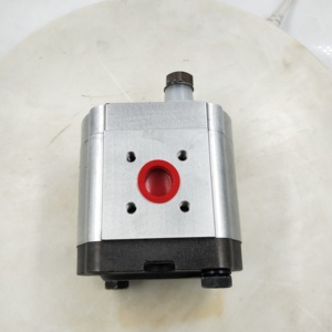 Pompe à engrenages X1P X1P250 X1P360 Pompe à engrenages hydraulique X1P3602FIIA X1P3402FIIA X1P3202FIIA X1P3102FIIA X1P2902FIIA X1P2702FIIA - Product Image 4
