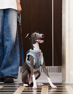 Moda de lujo Respetuoso con el medio ambiente Easy Walk Dog <span class=keywords><strong>Cat</strong></span> Arnés Correa para el pecho para perros a prueba de explosiones Cuerda de plomo ajustable antirotura S,M,L - Product Image 1