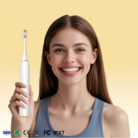 Brosse à dents sonique blanchissante personnalisée en usine IPX7 étanche brosse à dents automatique pour soins bucco-dentaires brosse à dents électrique intelligente rechargeable