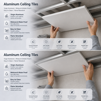 Panneau de plafond en aluminium rainuré et langueté, ventilé, pour bardage extérieur de toiture
