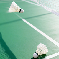 Volant de badminton en plumes d'oie naturelles, blanc, première qualité, 3 couches, sandwich, plumes droites, professionnel, international