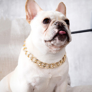 Collier de collier de chaîne de chien d'or de bouledogue français accessoires collier de chien en gros - Product Image 2