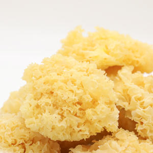 도매 말린 트레멜라 버섯 유기농 황금 트레멜라 곰팡이 트레멜라 - Product Image 2