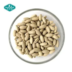 Nutrifirst는 증가 에너지를 위한 정립 초본 보충교재 Tribulus Terrestris 추출물 정제를 예약했습니다