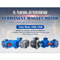 Moteur synchrone à aimants permanents triphasé industriel à haute efficacité PMSM 0,75 kW-22 kW 380 V 1500 tr/min personnalisable IE5 à économie d'énergie