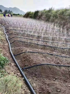 Prix usine jardin arroseur système d'irrigation Micro tuyau de pulvérisation de pluie diamètre de taille personnalisable pour jardins et terres agricoles - Product Image 5