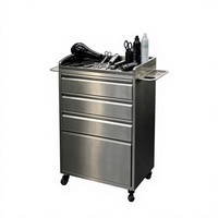 Chariot de Salon Moderne en Acier Inoxydable pour Professionnels de la Beauté, Idéal pour les Salons de Coiffure