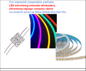 Módulos LED de 4 diodos y 2W para cajas de luz publicitarias, personalizables, adecuados para grandes cajas de luz de señalización LED. - Product Image 2