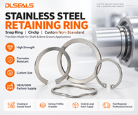DLSEALS Stainless Steel Snap Ring Circlip Custom Non-Standard Precision for Shaft Bore Groove Industrial Assembly OEM Bulk