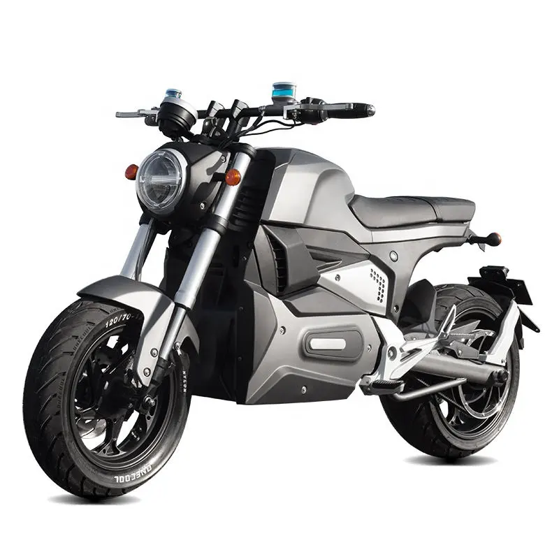 EEC Coc Chopper Fat Tire Electric Motorcycle 2000W off Road Electric Motorbikes