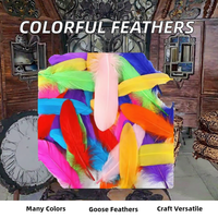 Plumes d'oie teintées de différentes couleurs, marque SJH Feather, palettes de 15-20 cm, modèle SJH2025111301, décoration de mariage, bricolage, carnaval