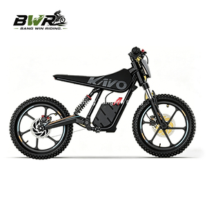สกู๊ตเตอร์สำหรับผู้ใหญ่รุ่นใหม่ Mountain Alkaid Ec2 ความเร็วสูง 80 กม./ชม. มอเตอร์ไซค์ไฟฟ้าอัจฉริยะ BW กำลังสูง Kayo - Product Image 6