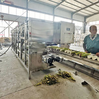 Duurzame mais-schilmachine, machine voor het pellen van verse zoete maïs voor diepgaande maïsverwerkingsinstallaties