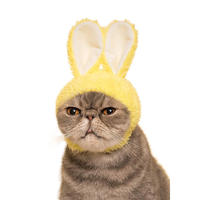 Vente en gros d'accessoires pour animaux de compagnie individuation oreilles mignonnes décoration décontractée de chapeau de chien de chat