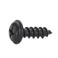 Vis autotaraudeuses à tête cylindrique à embase, noires, trempées, M2 M3 M4 M5, pour le bois