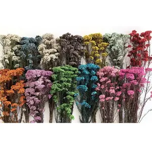 Hochwertige Real Touch Mini Reisblume getrocknete konservierte Blumenstrauß frische natürliche Stiel ewige Home Decoration