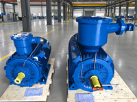 Motor Anti Ledakan 132KW 55KW Kelas H Isolasi Rentang Kecepatan Luas Peningkatan Suhu Rendah Motor Anti Ledakan IE3 ExdIIBT4