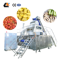 Elektrische fruit- en groenteschilmachine, hoogrendements stoomschiller voor groene bananen, druiven, tomaten, zoete aardappelen