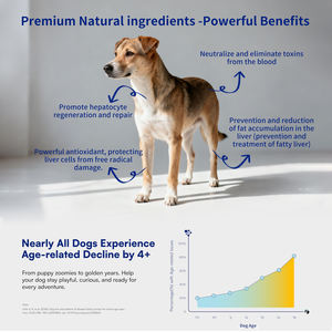 Custom <strong>Milk</strong> Thistle Liver Soft <strong>Chews</strong> for Pets Kidney Health Supplement for Dogs Cats Liver Support <strong>Chews</strong> - Product Image 3