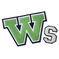 Winslabel Direct usine nom de marque personnalisé Chenille logo brodé fer sur transfert de chaleur patchs de broderie 3D pour sweats à capuche