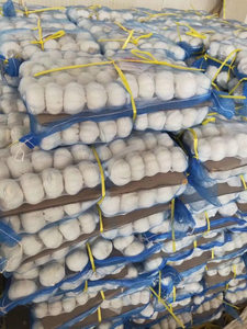 Toptan Premium Taze Çin Sarımsağı |   Normal Beyaz Sarımsak Fabrikası Tedarikçisi |   Düşük Fiyatlı Toplu İhracat Sarımsak - Product Image 6