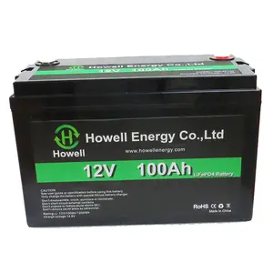 Deep Cycle Low Weight 12V Series 5/7/12/20/30/50/60Ah 100Ah 200Ah LiFePO4 Battery For EV RV Solar LED UPS System Boat Golf Cart