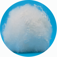Fibre discontinue polyester recyclée blanche à faible fusion 4d 51mm