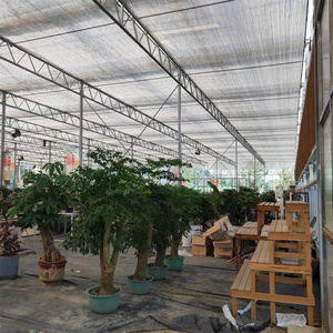 Venlo thương mại tự động nhà máy hydroponics Tempered Glass nhà kính đa-span nông nghiệp nhà kính để bán - Product Image 3