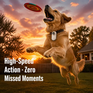 Caméra portable pour animaux de compagnie 1080P pour chiens et chats avec enregistrement vidéo sur carte MicroSD - Product Image 5
