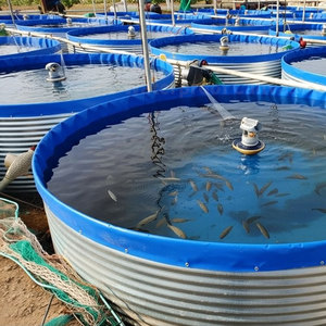 JINHAOYU - Estanque Circular para Piscicultura al Aire Libre, Estructura de Acero Galvanizado con Revestimiento de PVC, Modelo 76000L 9*1.2, para Camarones y Cangrejos - Product Image 1