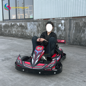 Nuevo Karting Eléctrico Deportivo de 24V 350W con Temática de Diversión al Aire Libre para Niños y Adultos - Product Image 1