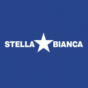 HSS rotativo Cutter Art. 25 Fig.31 Router legno ogivi troncato bianco stella colore bianco - Product Image 1