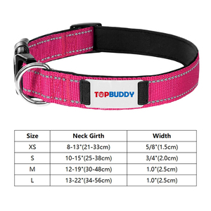 <span class=keywords><strong>Collar</strong></span> personalizado para perro Coast Line Remix, nailon reflectante ajustable con placa de nombre plateada personalizada y cierre de hebilla - Product Image 5