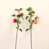 Branche d'Apple Artificielle de 60 cm, Tige de Fruit Artificiel avec Feuilles Vertes pour Arrangement Floral en Vase, Décoration de Table d'Automne, Vente en Gros