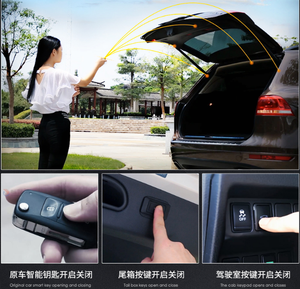 ADT Vente Flash Hayon Électrique Universel avec Télécommande Intelligente - Product Image 2