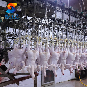 100Bph-3000Bph Planta de Procesamiento de Pollo Halal Musulmán Matanza Máquina de Matar Pollos Equipo para Matadero de Aves - Product Image 5