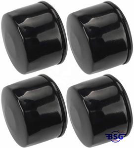 492932S filtre à huile pour B S 492932,795890,695396,492932B,492056,696854,842921 Kohle r 25 050 01 Tecumse <span class=keywords><strong>h</strong></span> 36563 - Product Image 4