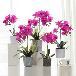 <span class=keywords><strong>Orchidée</strong></span> artificielle bonsaï, 1 pièce, tactile, avec pot, fleurs pour la décoration - Product Image 3