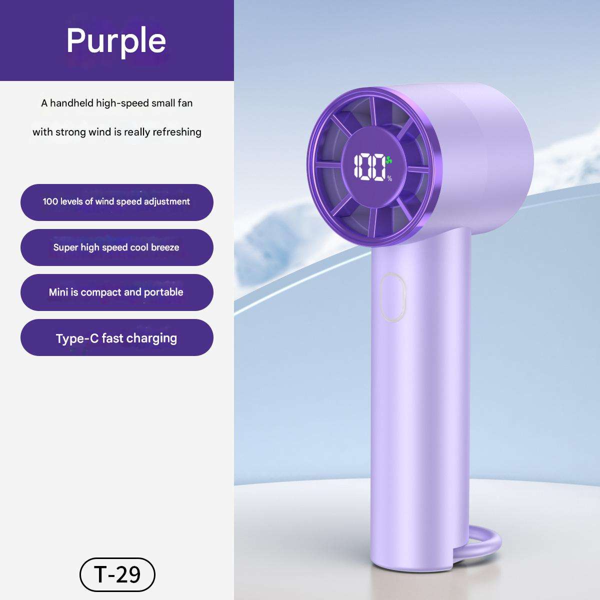 T29สีม่วง