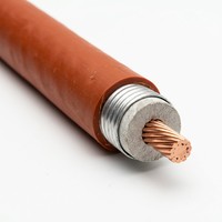 Câble électrique flexible résistant au feu à isolation minérale 1 conducteur BBTRZ, câble d'alimentation IEC pour la distribution d'énergie dans les bâtiments