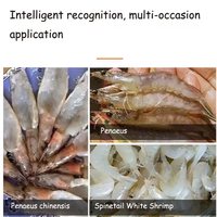 Nouvelle machine commerciale automatique pour peler et découper les crevettes, fonction d'ouverture du dos et de désvelettage, marque Meijin, 45-60 kg/h
