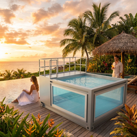 Piscine portable de 10 pieds en conteneur d'expédition - Piscine hors sol avec fenêtre en acrylique, installation facile DIY pour petit jardin, cour ou villa