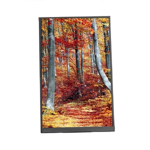 7 inch IPS hiển thị màn hình <span class=keywords><strong>LCD</strong></span> 7 inch dọc 800*1280 mipi 4 làn xe TFT ICD module với tùy chọn <span class=keywords><strong>Touch</strong></span> Panel - Product Image 2